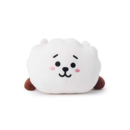 2 LINE+FRIENDS+Official+Merchandise+Cushion