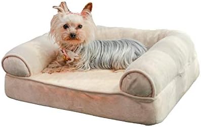 best dog sofa bed