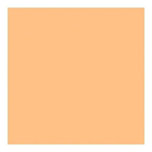 Rosco Roscolux Pale Amber Gold, 20x24