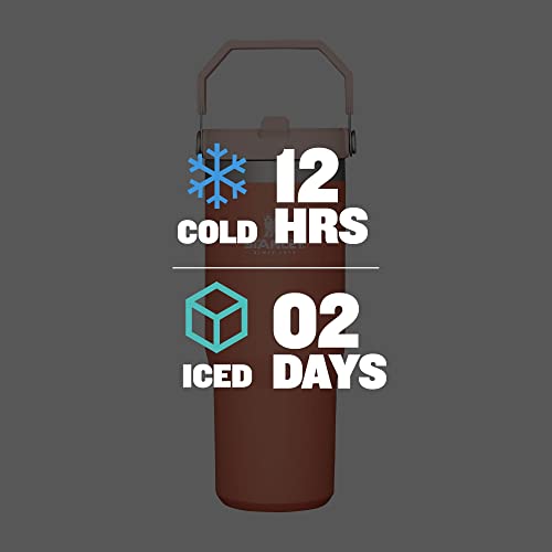 Stanley IceFlow Stainless Steel Tumbler with Straw, Vacuum Insulated