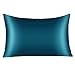 Yanibest Silk Pillowcase for Hair and Skin, Standard Queen King Pillow with Hidden Zipper, Soft Breathable Smooth Cooling Pillow for Sleeping