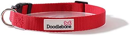 doodlebone dog collars