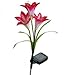 Hearts Shop Solar Powered Outdoor LED Color Changing Waterproof Lily Flower Garden Light Lawn Lamp for Yard Decoration (Red)
