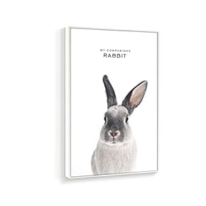 Framed Canvas Wall Art for Living Room, Bedroom Rabbit Canvas Prints for Home Decoration Ready to Hanging - 16x24 inches