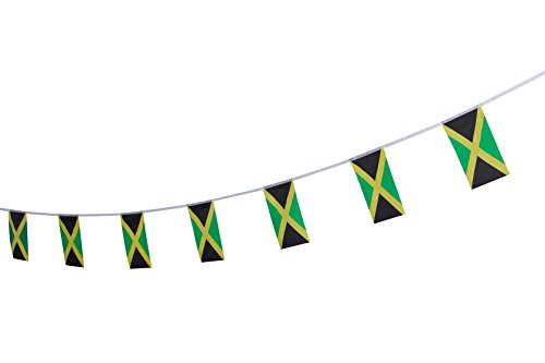TSMD Jamaica Flag, 100 Feet Jamaican Flag National Country World Pennant Flags Banners String,Internationl Party Decorations for Grand Opening,Olympics,Bar,School Sports Events,Festival Celebration