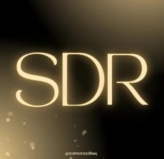 Livro SDR Profissional : Seu guia para se tornar o melhor SDR do mercado
