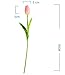 Bringsine Premium Artificial Flowers Real Touch Mini PU Tulips Bouquet Artificial Plants for Wedding Room Home Hotel Party Event Christmas Decor Cream White Set of 20
