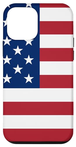 American Flag Logo Design Case for iPhone 12 mini