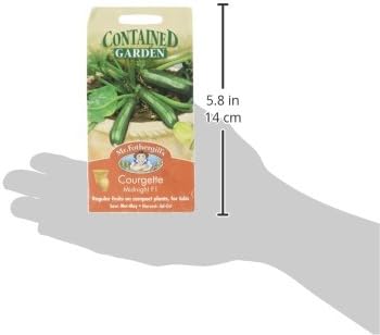 Mr. Fothergill's Midnight F1 Courgette Seed, green - Image 4