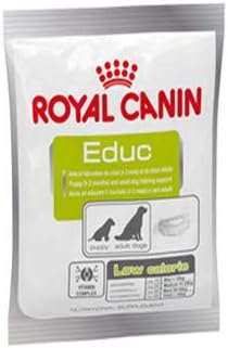 working labrador puppies for sale yorkshire