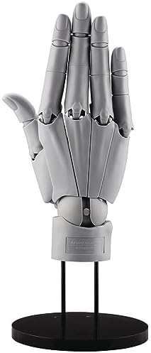 Amazon.com: Kotobukiya ARTIST SUPPORT ITEM 1/1 Scale Hand Model R
