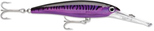 Rapala X-Rap Magnum 20 Fishing lure, 5.5-Inch, Purple Mackerel