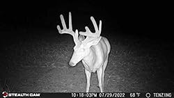 Stealth Cam DS4K Transmit Cellular AT&T OR VERIZON