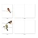The Best Card Company - 10 Bird Note Cards Blank (4 x 5.12 Inch) - All Occasion Cards with Envelopes, Boxed Set - High Wire Birds M3318
