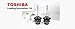 Toshiba D4S Xenon HID Bulbs 4300K 35W for Lexus and Toyota (Pack of 2)