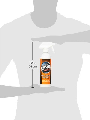 Best Shot Dry Clean Pet Spray, 16-Ounce