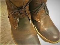 Review Image by Crazy Chicken Lady Crazy Chicken Lady