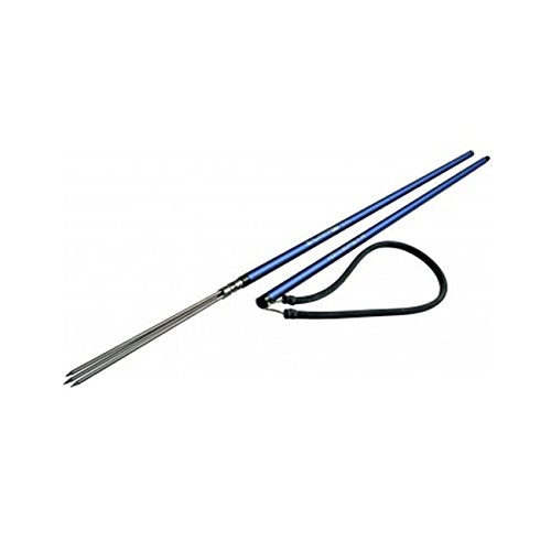 SalviMar Pole Spear
