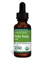 Gaia Herbs - Ginkgo Gotu Kola, 1 fl oz liquid