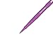 Paper Mate Flair Felt Tip Pens, Medium Point 0.7mm, Limited Edition Candy Pop, Raspberry Fizz Ink, Pack of 12