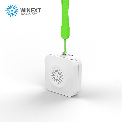 Winext Portable Air purifier, Personal Mini Ionic Air Purifier