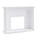 Southern Enterprises Torlington Fireplace, White/Gray