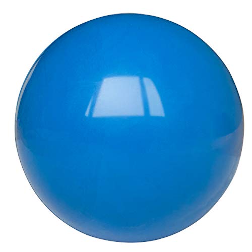 dog bouncing beach ball