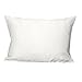 Mulberry Park 100% Silk Pillowcase - 19 Momme, Grade 6A Mulberry Silk - Deep Envelope Closure - Ivory/Queen (20'' x 30'')