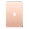 2019-Apple-iPad-mini-79-inch-WiFi-Cellular-256GB-Gold-5th-Generation Apple 2019 iPad mini (7.9-inch, Wi‑Fi + Cellular, 256GB) - Gold (5th Generation)