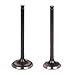 OCPTY 16pcs Intake Exhaust Valves Set for Chevrolet Prizm for Toyota Corolla Matrix for Pontiac Vibe 1.8L 021-3527 13715-22040