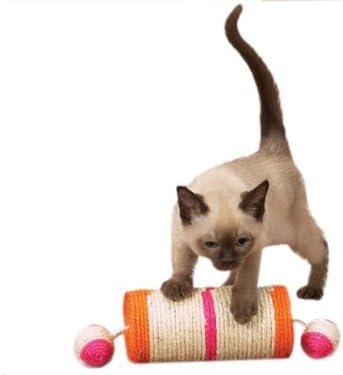 cat toys big w