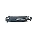 GANZO Firebird Pocket Folding Knife FH21 D2 Steel Blade G10 Handle with Clip Fishing Hunting Camping Outdoor EDC Knife (Grey)