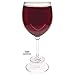 Oversized 24 Oz Wine Glass of Champions - Bonus Wine and Spirits Recipes - Novelty Gift Boxed Present- First Place Drinking Trophy