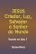 Livro Jesus: Criador, Luz, Salvador E Senhor Do Mundo