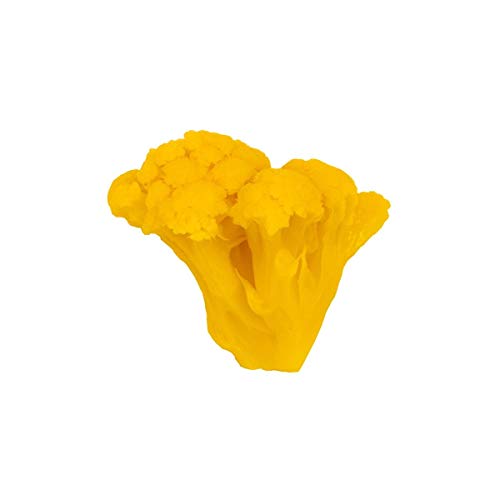 HOT CAULIFLOWER