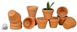 My Urban Crafts Small Terra Cotta Pots - Mini Clay Flower Pots - Great For Succulent & Cactus Nursery Planter, DIY Craft Projects, Wedding and Party Favors - 1 x 1.5 Inches (Set of 12)