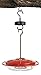 BugSnub Hanging Ant Guard (1-Pack)- Ant Defense for Hummingbird Feeders, Unique Upside-Down Design, No Liquid Moat