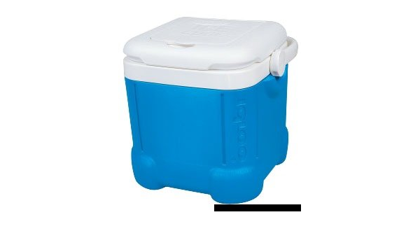 Cojín para nevera portátil Igloo 114 L - : Amazon.es ...