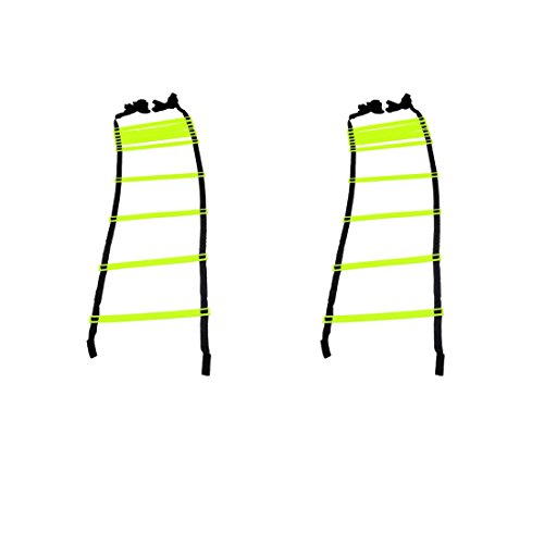 GSI Speed Agility Ladder Track and Field Equipment for Sports Training and Soccer Football Tennis Baseball Drills - Pack of 2 (10 Rungs)