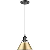 Golden Lighting Orwell 1-Light Mini Pendant in Matte Black with Brushed Champagne Bronze