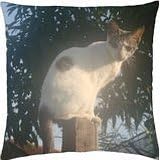 My Lovely Kitty - Throw Pillow Cover Case (18