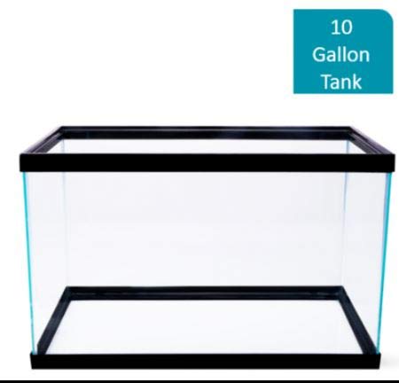 Cartener 10 Gallon Empty Aquarium