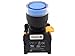 Alpinetech LXG-22 22mm 1NO Momentary Push Button Switch 110V LED Illuminated (Blue)