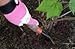 Women's Leather Gardening Gloves with Reinforced Fingers and Knuckles- By Piddlin' Jenny! (medium)
