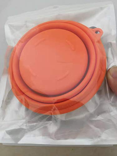 31rQEXUGpOL.jpg