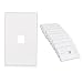 Cable Matters 10-Pack Low Profile 1 Port Keystone Jack Wall Plate in White primary