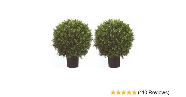 Silk Tree Warehouse Company Inc Two 26 Inch X 18 Inch Indoor Outdoor Artificial Boxwood Ball Topiary Bush 2 2 Foot Potted Uv Rated Artificial Topiaries Artificial Shrubs Topiaries Emosens Fr