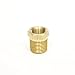 FasParts 1/2" NPT Male NPT MIP MPT x 1/4" NPT Female FIP FPT Reducer Bushing Brass Fitting Fuel / Air / Water / Boat / Gas / Oil WOG