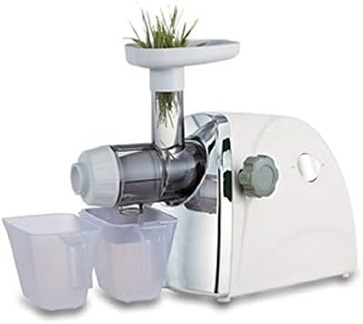 Gaone Slow Masticating Juicer Extractor Horizontal Single Auger Fruit Vegetable Wheatgrass Orange Juice Extractor Quiet Motor