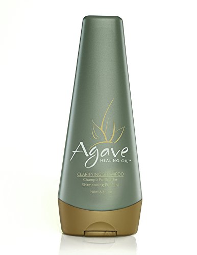 Agave Healing Oil - Clarifying Shampoo.  Daily Moisturizing Shampoo that Gently Removes Styling Build Up, Debris, and Dirt.  Sulfate Free, Paraben Free, Phthalate Free and Cruelty Free (8.5 fl.oz)